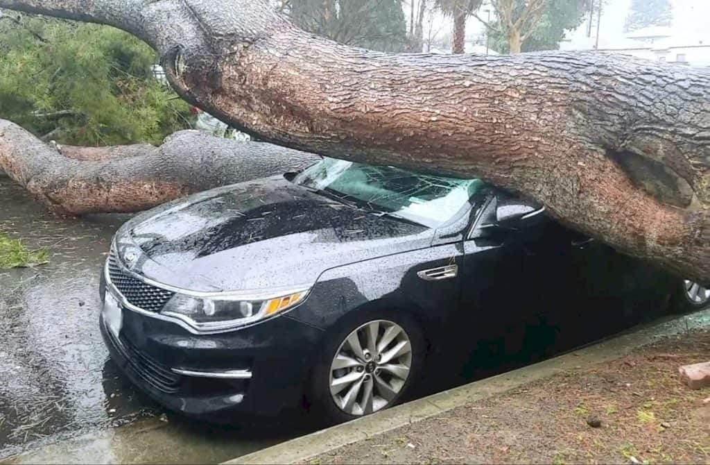 Emergency Loans