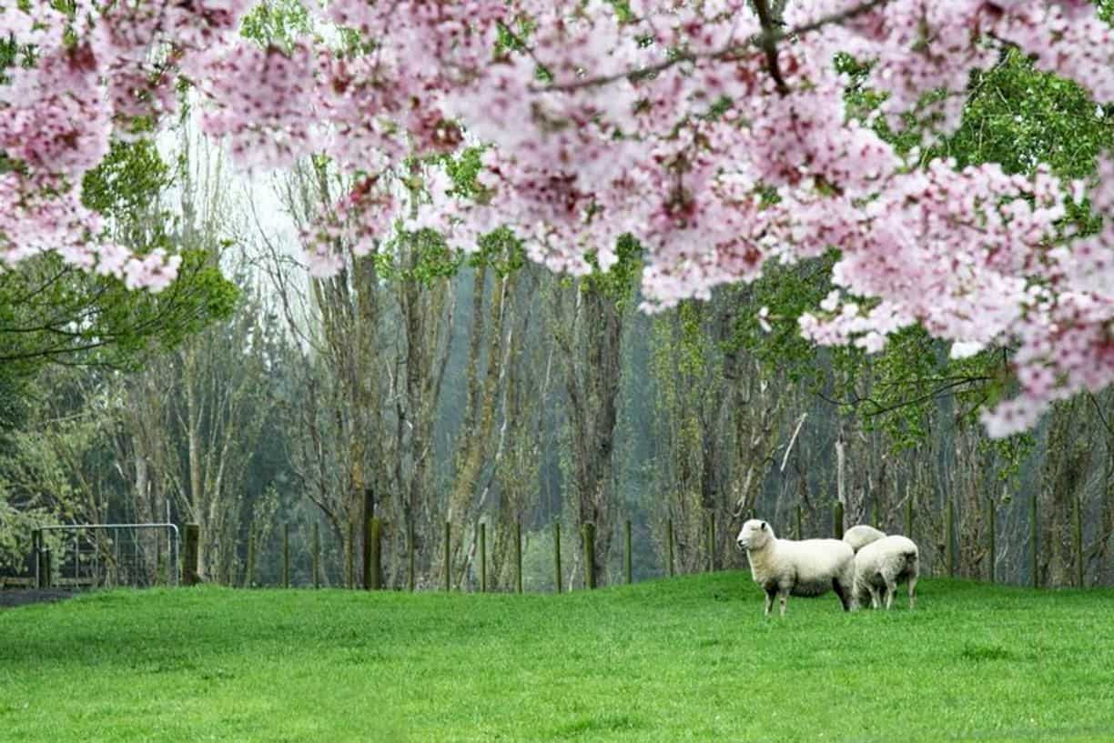 Spring Cleaning Finance