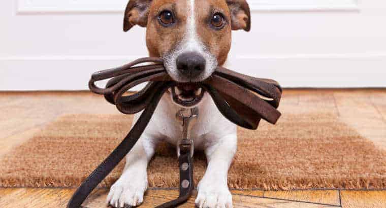 Clean up your bills - there are more important things to do in life Clean up your bills - there are more important things to do in life